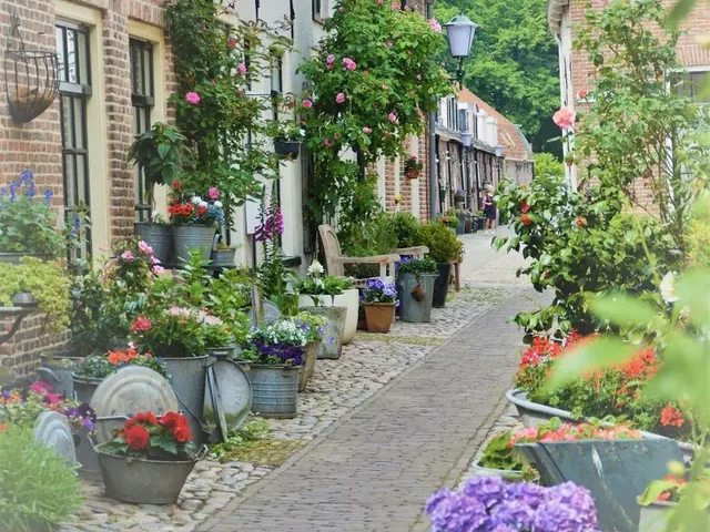 Ga shoppen in Harderwijk of Zwolle of bezoek de gezellige plaatsjes Nunspeet en Elburg.